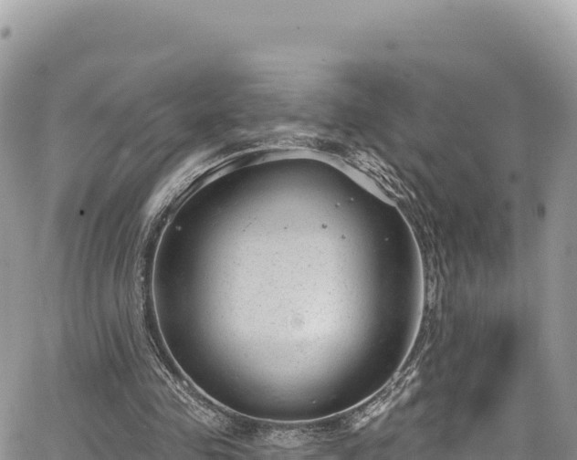 X0000065260341200602211255