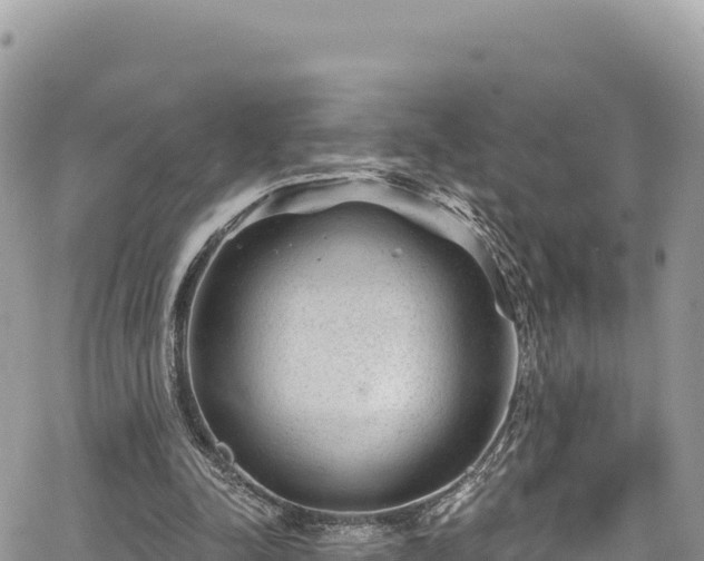 X0000065260342200602211255