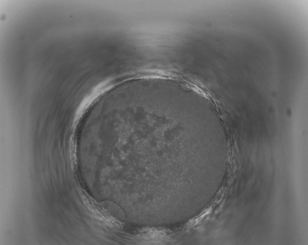 X0000065260343200602211255