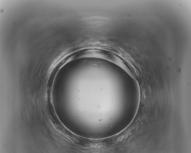 X0000065260344200602211255