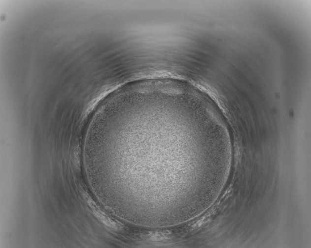 X0000065260345200602211255