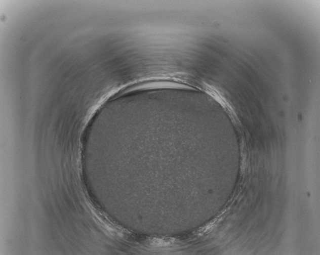 X0000065260346200602211255