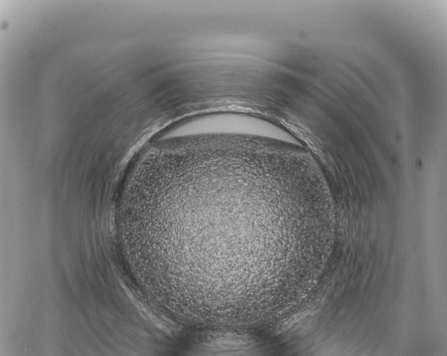 X0000065260347200602211255