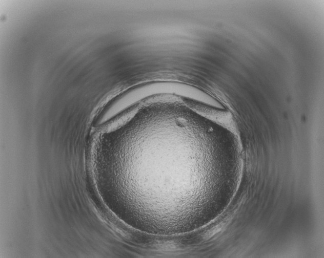 X0000065260349200602211255