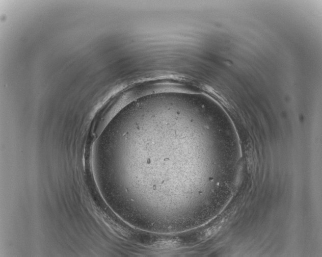 X0000065260350200602211255