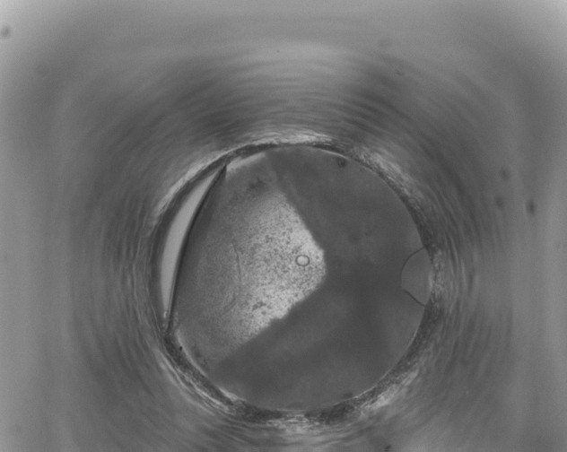 X0000065260351200602211255