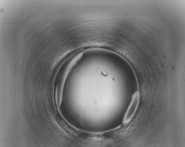 X0000065260352200602211255