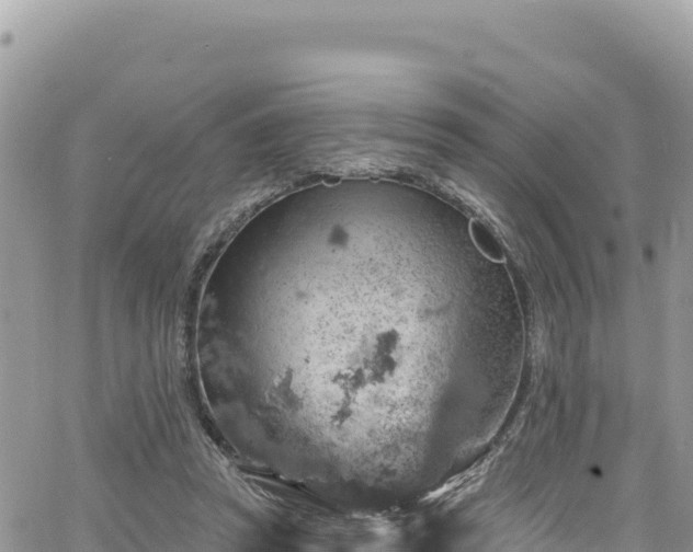 X0000065260353200602211255