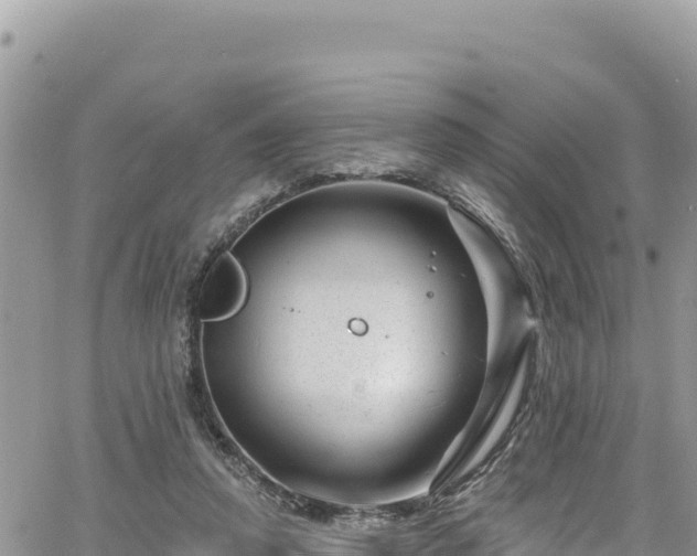 X0000065260354200602211255