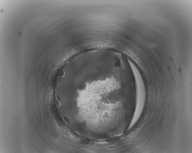 X0000065260355200602211255