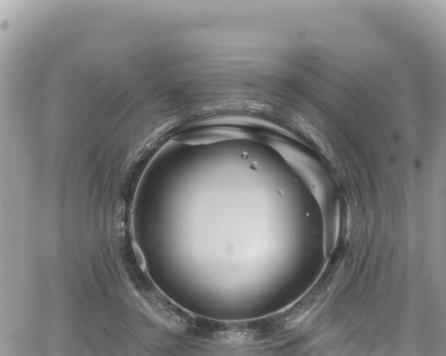 X0000065260356200602211255