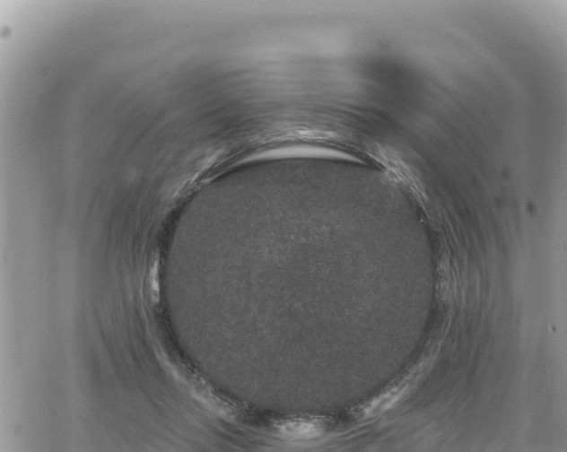 X0000065260358200602211255