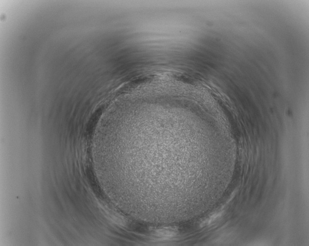 X0000065260359200602211255