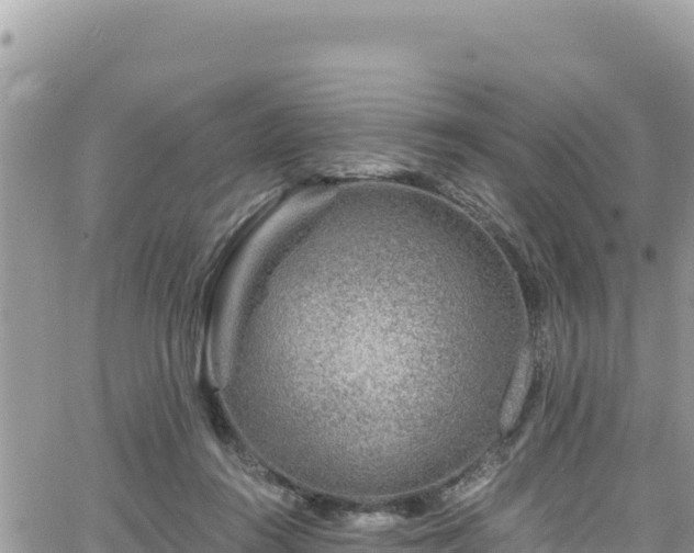 X0000065260360200602211255