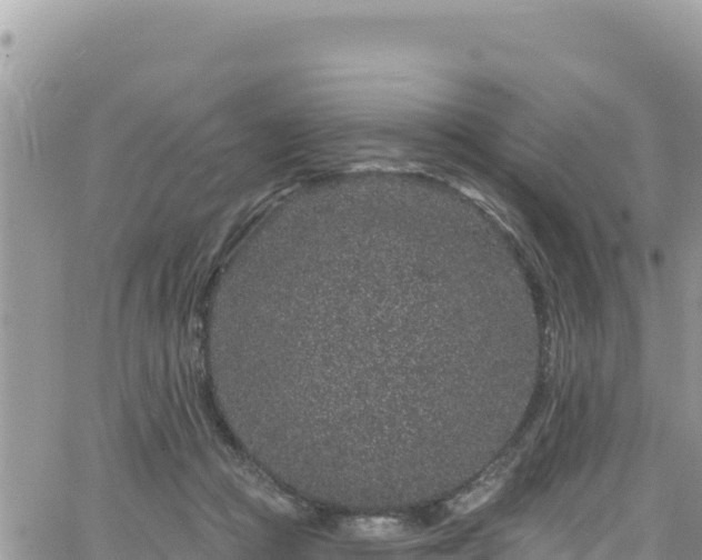 X0000065260361200602211256