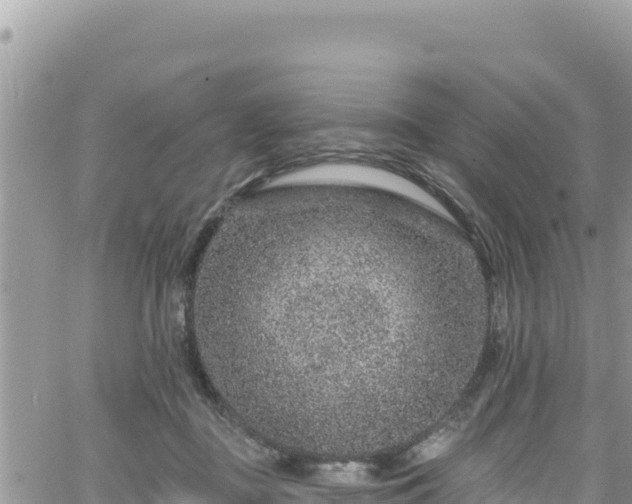 X0000065260363200602211256