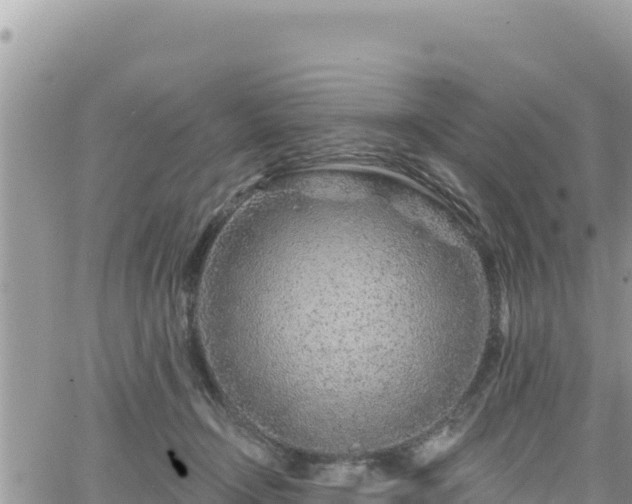 X0000065260366200602211256