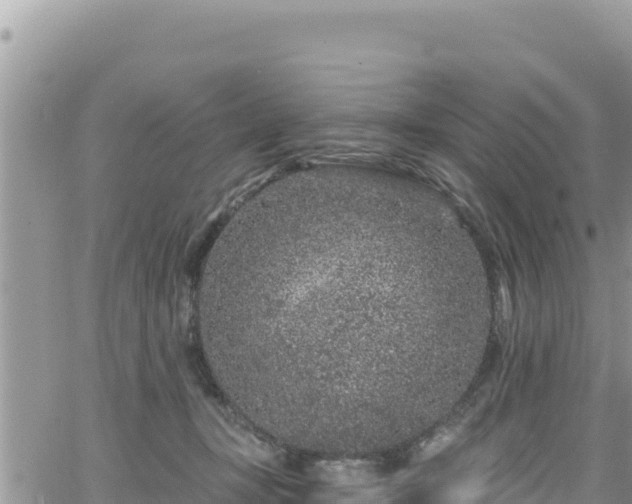 X0000065260367200602211256