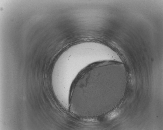 X0000065260370200602211256