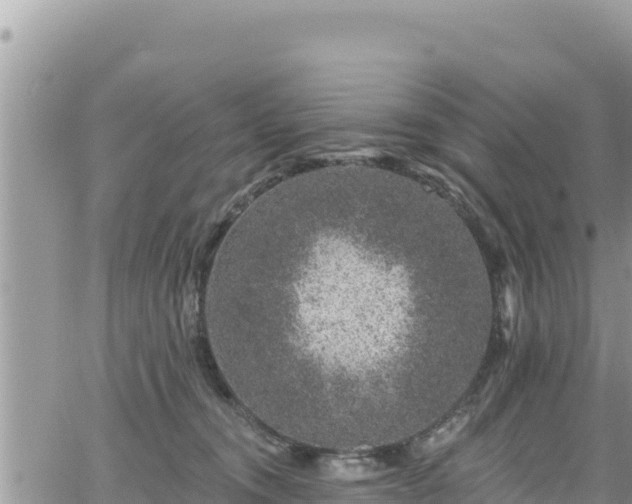 X0000065260372200602211256