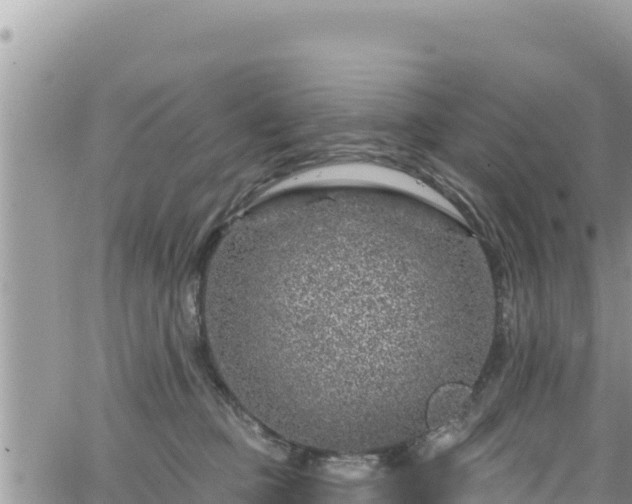 X0000065260373200602211256