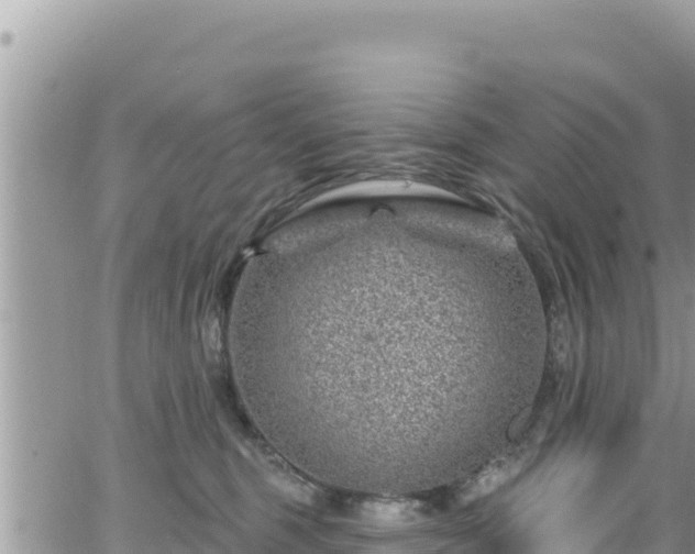 X0000065260375200602211256