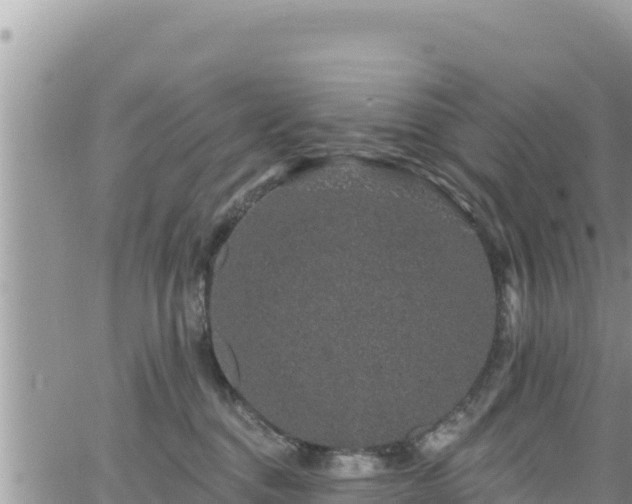 X0000065260376200602211256