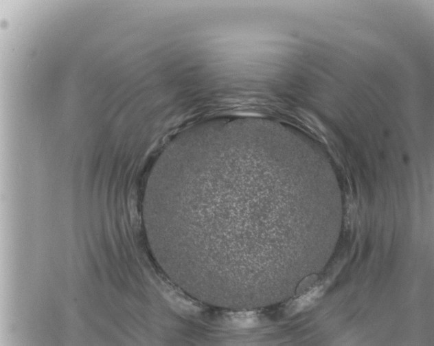 X0000065260377200602211256