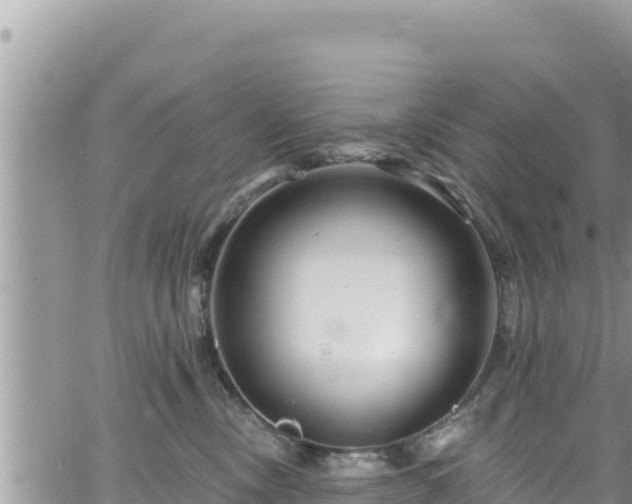 X0000065260378200602211256