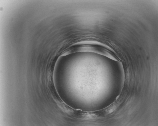 X0000065260379200602211256