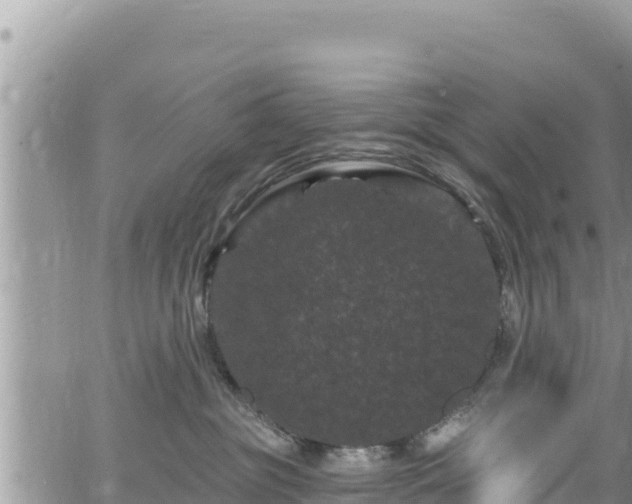 X0000065260381200602211256