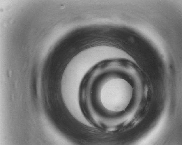 X0000065260382200602211256