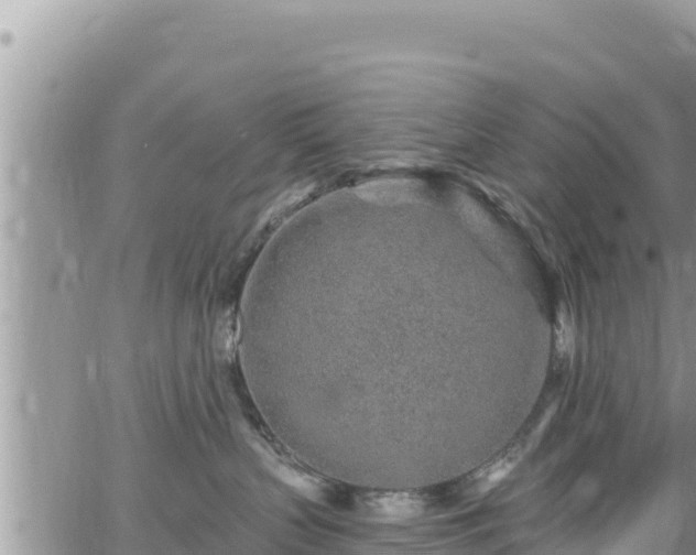 X0000065260383200602211256