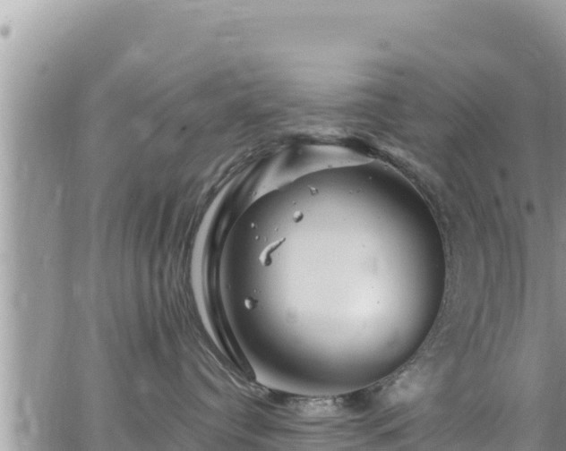 X0000065260384200602211256