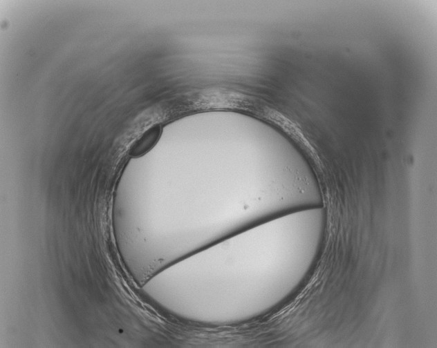 X0000065260386200602211255