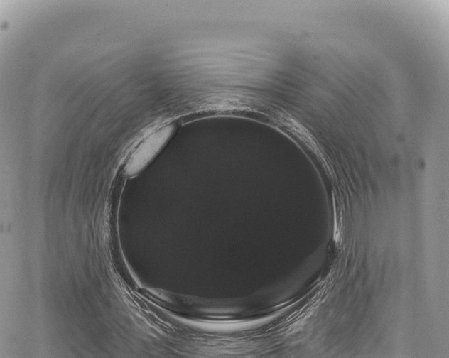 X0000065260387200602211255