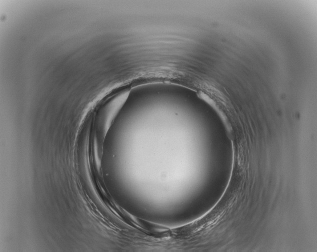 X0000065260388200602211255