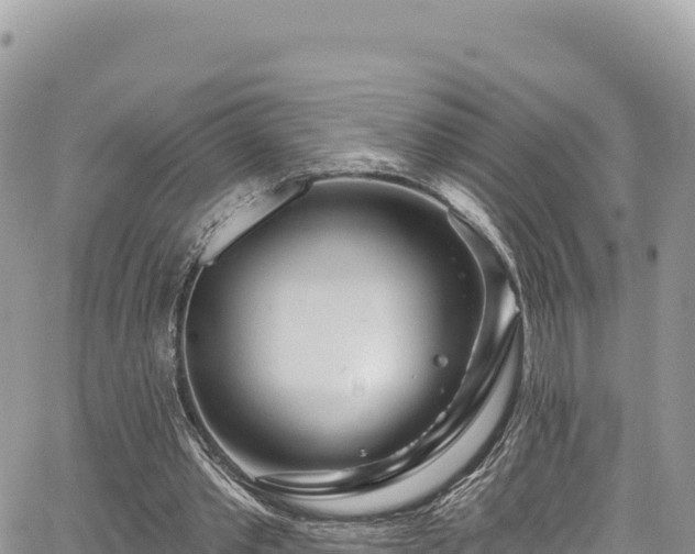 X0000065260389200602211255