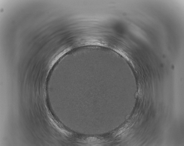 X0000065260390200602211255