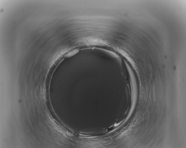 X0000065260391200602211255