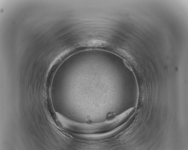 X0000065260392200602211255