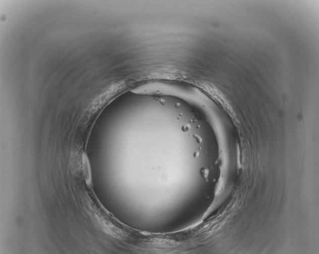 X0000065260393200602211255