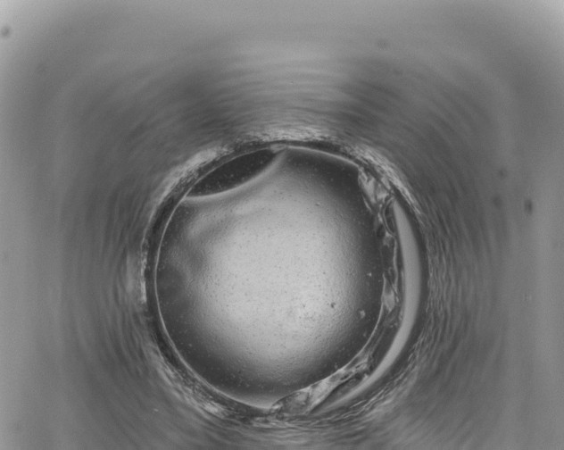 X0000065260395200602211255