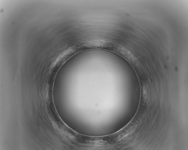 X0000065260396200602211255