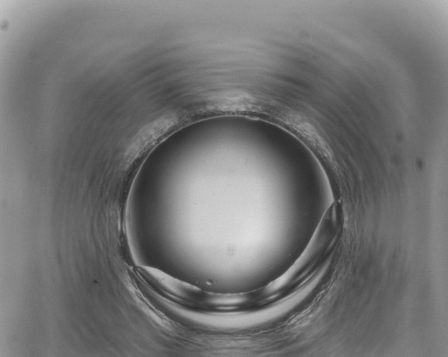 X0000065260397200602211255