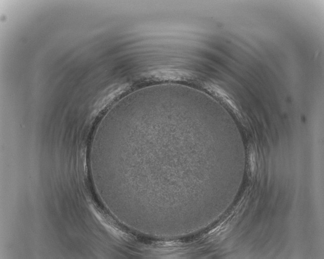 X0000065260398200602211255