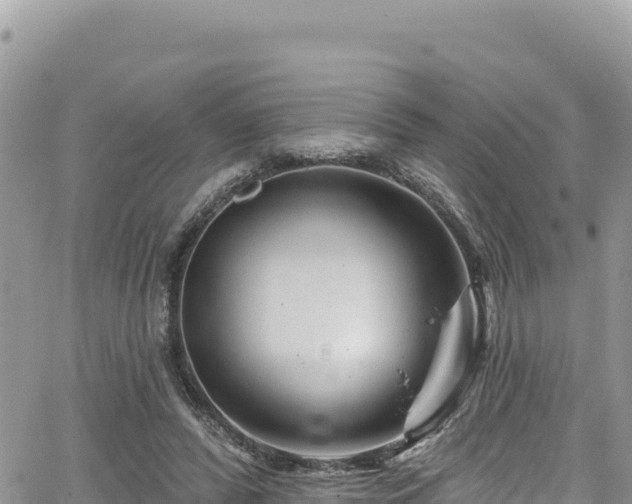 X0000065260400200602211255