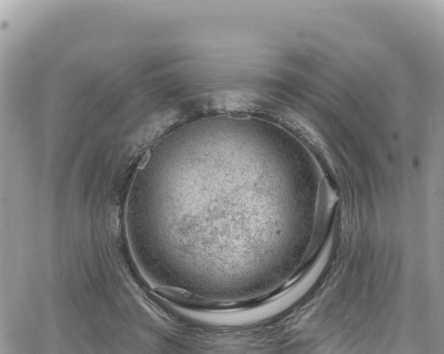 X0000065260401200602211255