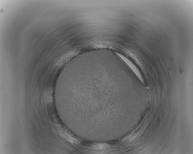 X0000065260402200602211255