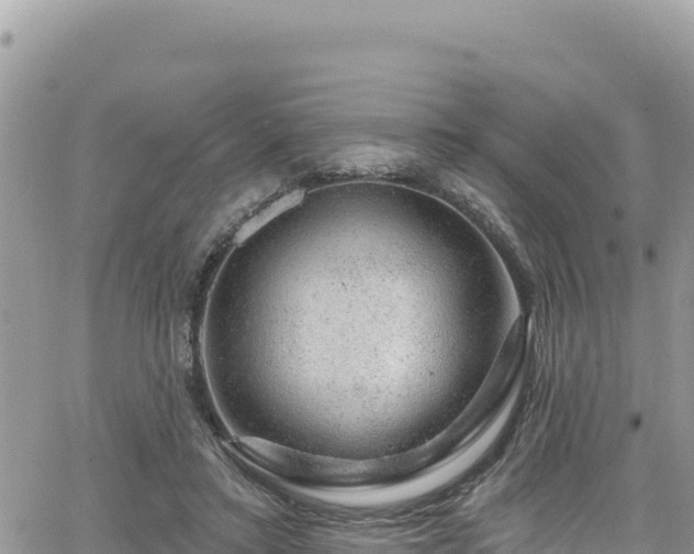 X0000065260403200602211255